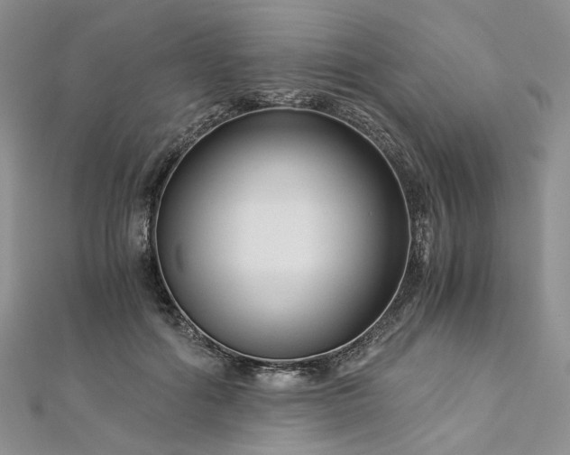 X0000112900602200909041724