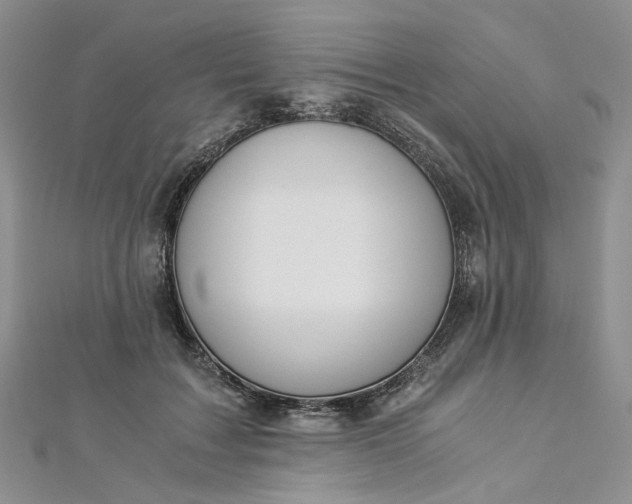 X0000112900603200909041724