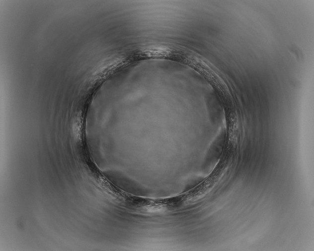 X0000112900604200909041724