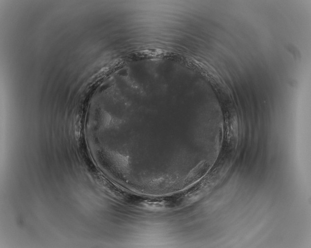 X0000112900606200909041724