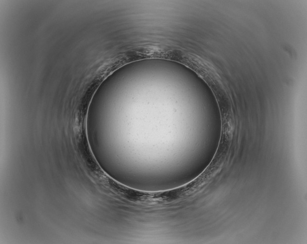 X0000112900607200909041724