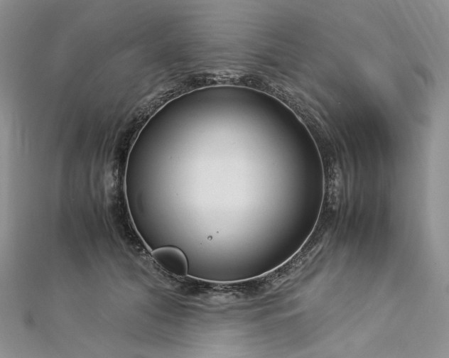 X0000112900608200909041724