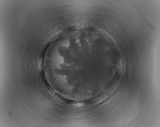 X0000112900610200909041724