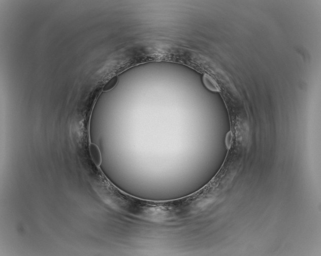 X0000112900611200909041724