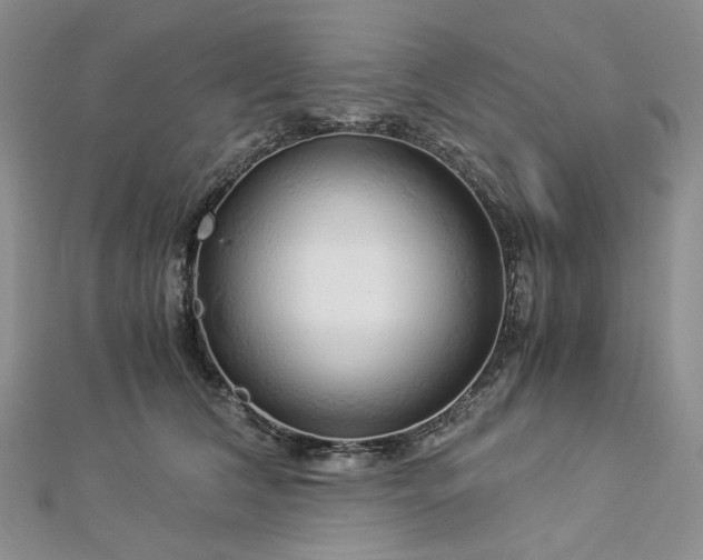 X0000112900612200909041724