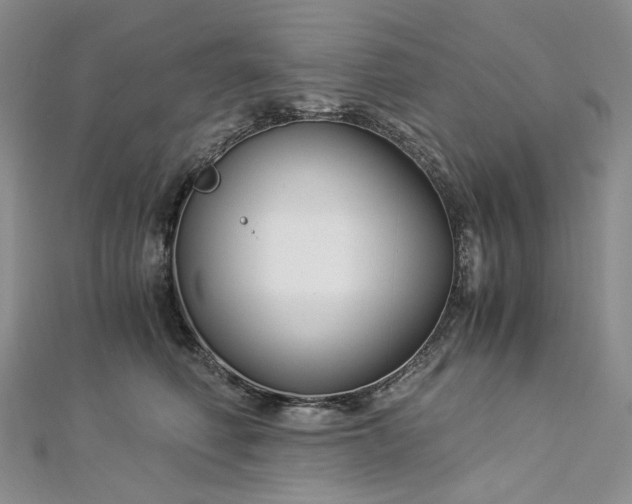 X0000112900614200909041724