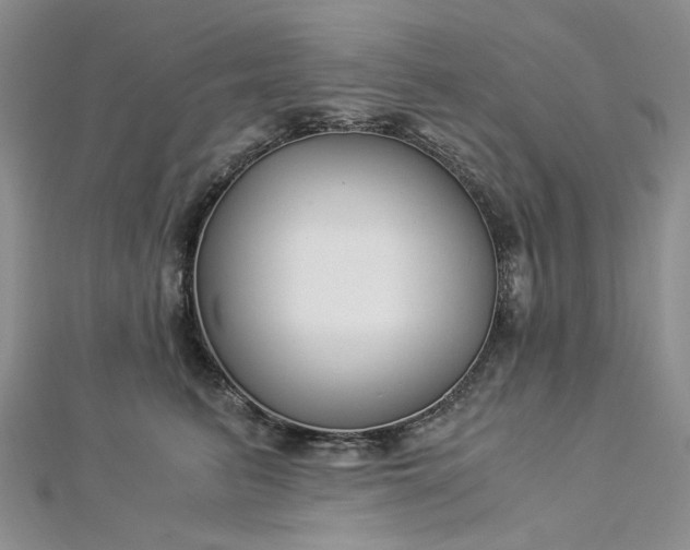 X0000112900615200909041724