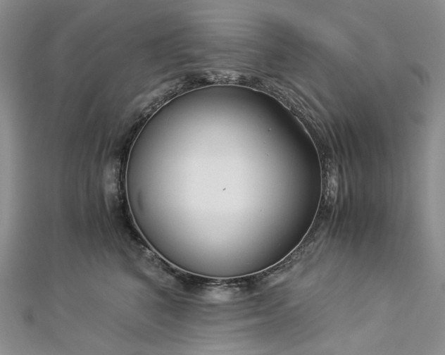 X0000112900616200909041724