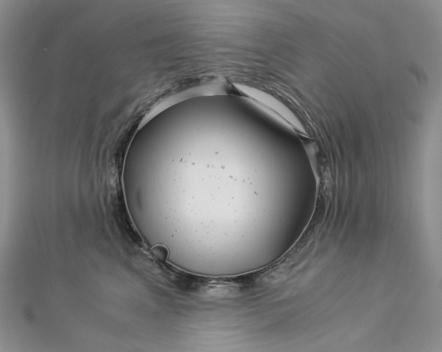 X0000112900617200909041724