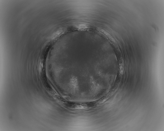 X0000112900618200909041724