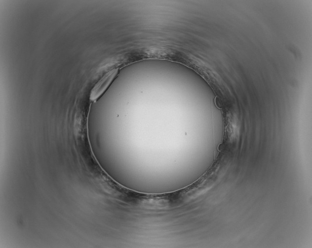 X0000112900619200909041724