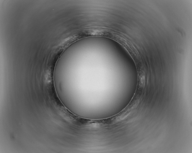 X0000112900620200909041724