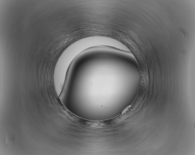 X0000112900621200909041724