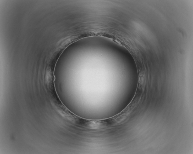 X0000112900623200909041724