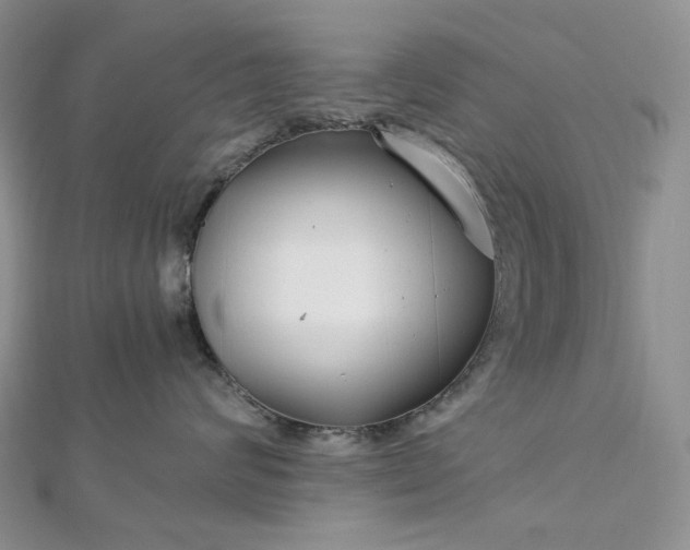 X0000112900624200909041724