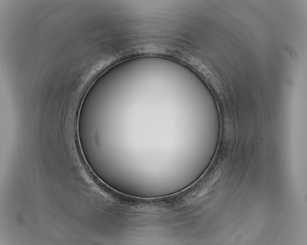 X0000112900625200909041723