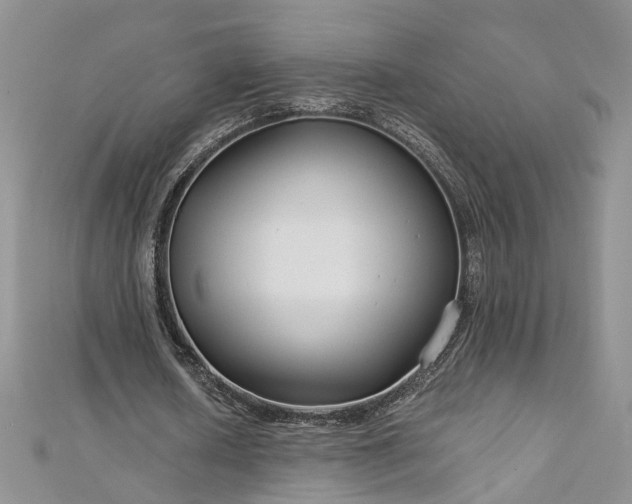 X0000112900626200909041723