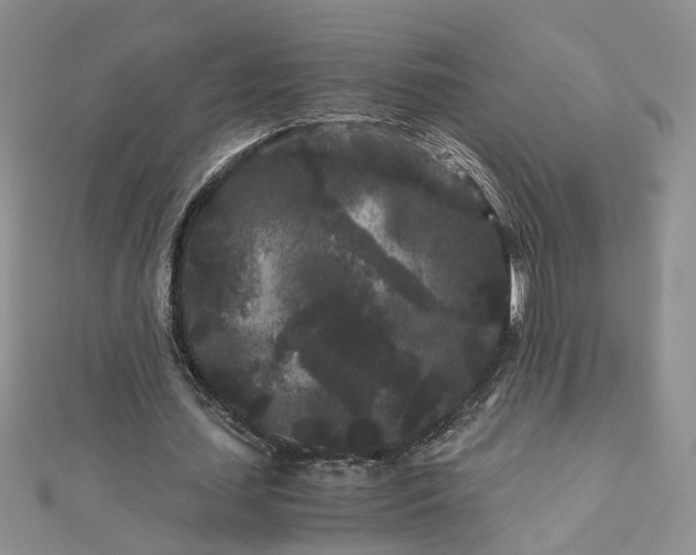 X0000112900627200909041723