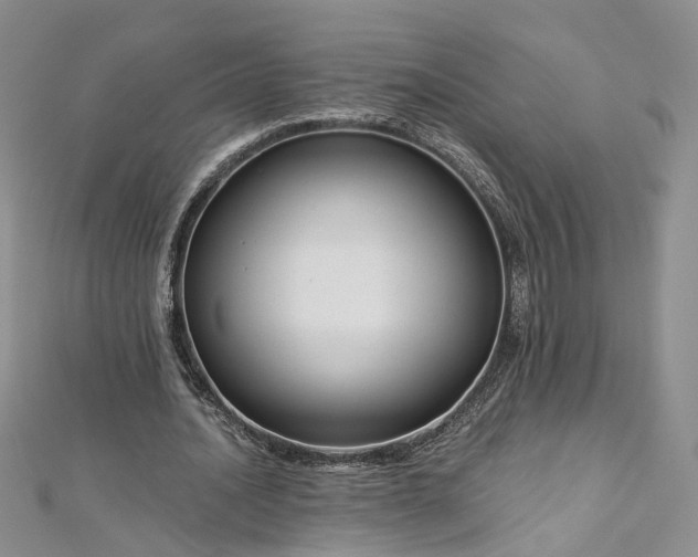 X0000112900628200909041723