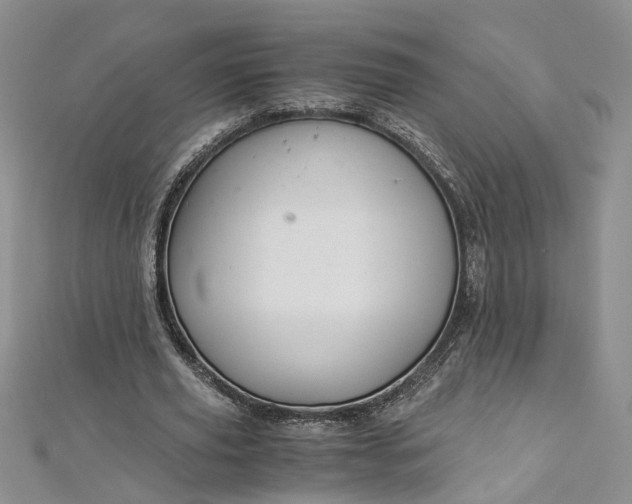 X0000112900629200909041723