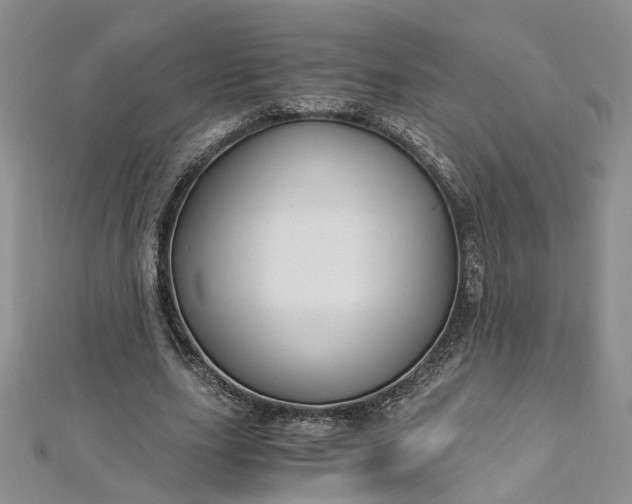 X0000112900631200909041723