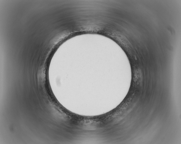 X0000112900632200909041723