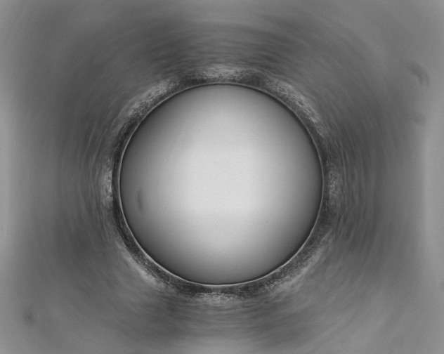 X0000112900633200909041723