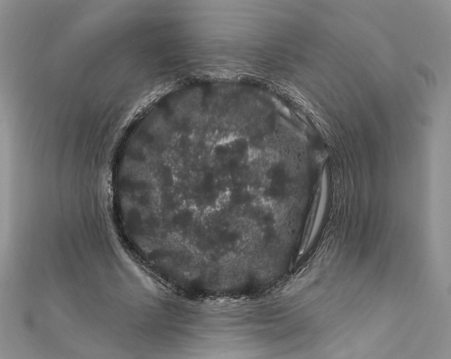 X0000112900634200909041723