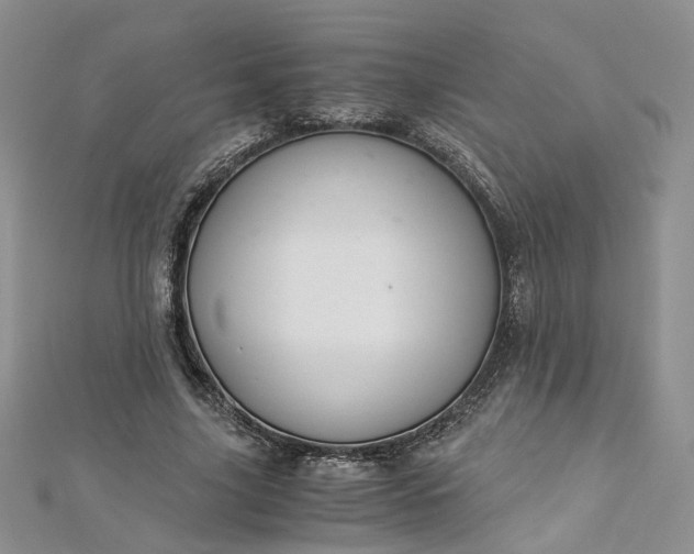 X0000112900635200909041723