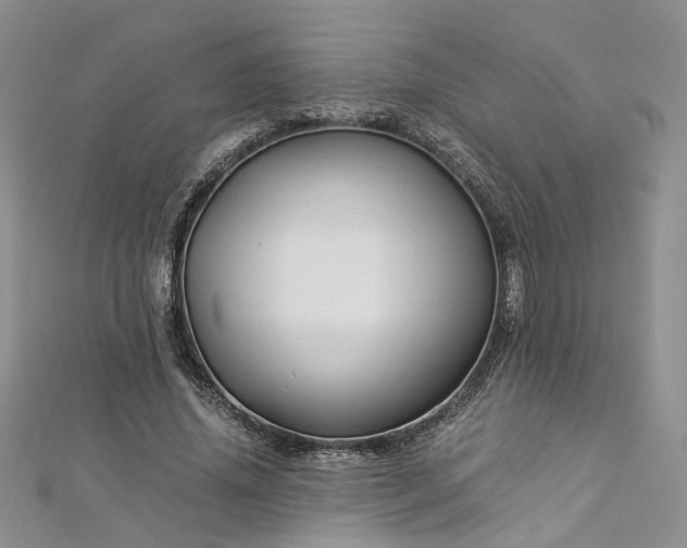 X0000112900636200909041723