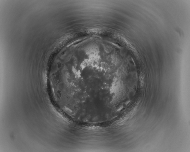 X0000112900637200909041723