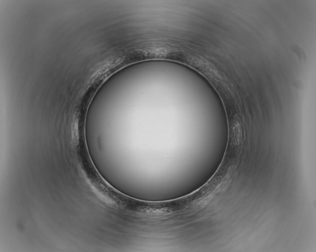 X0000112900638200909041723