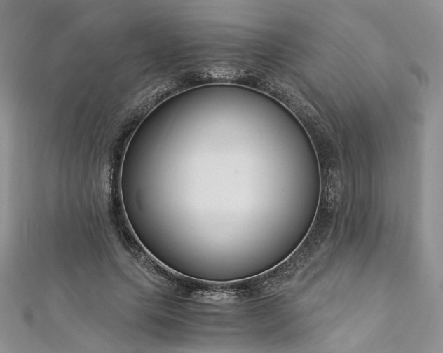 X0000112900639200909041723