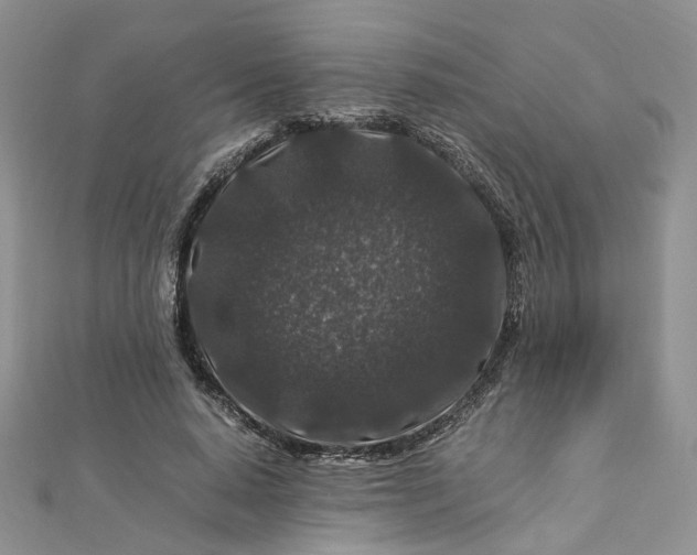 X0000112900640200909041723