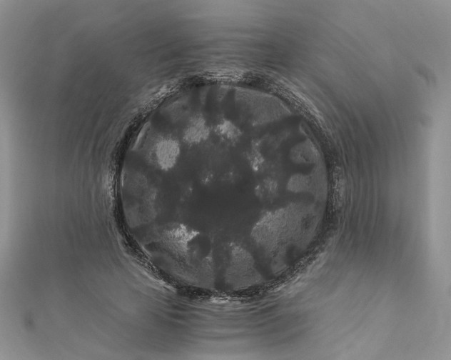 X0000112900641200909041723