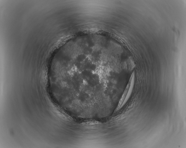 X0000112900642200909041723