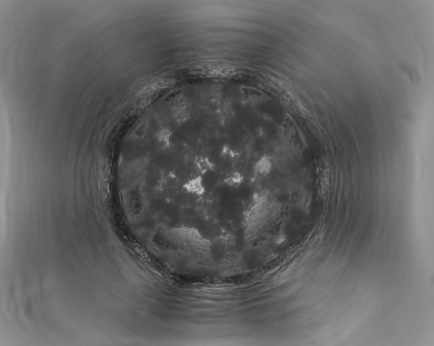 X0000112900643200909041723