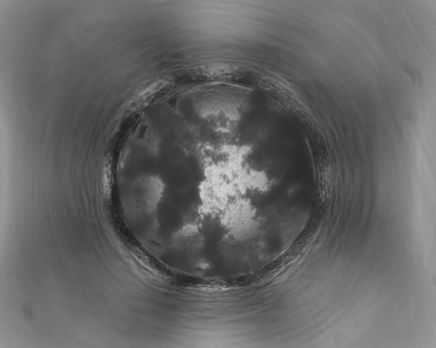 X0000112900644200909041723