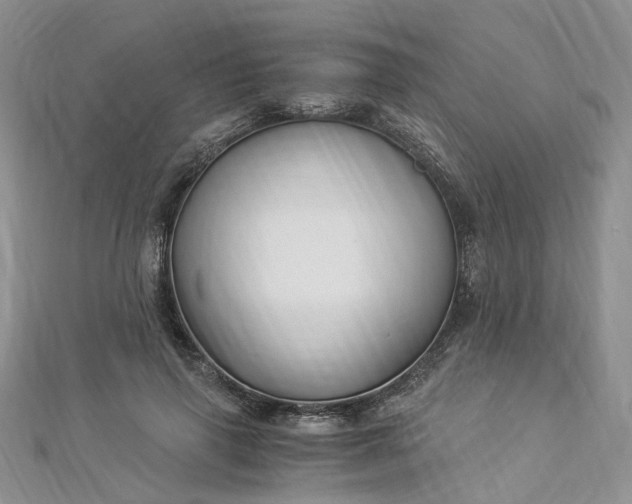 X0000112900645200909041724