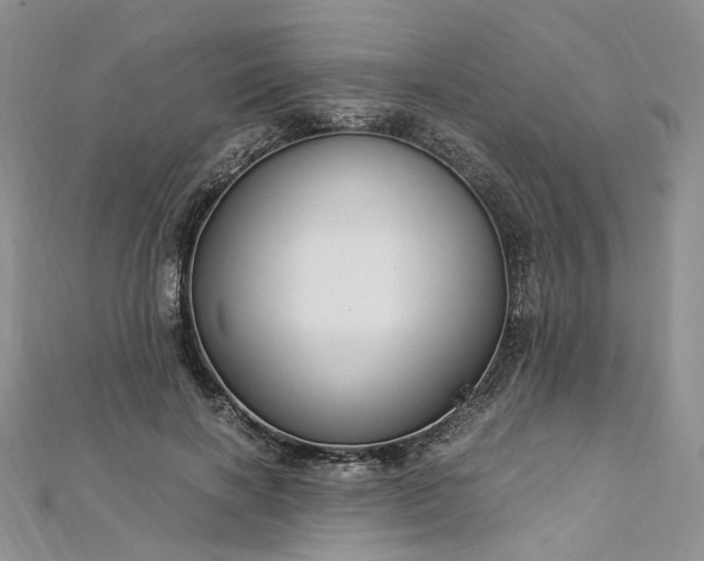 X0000112900646200909041724