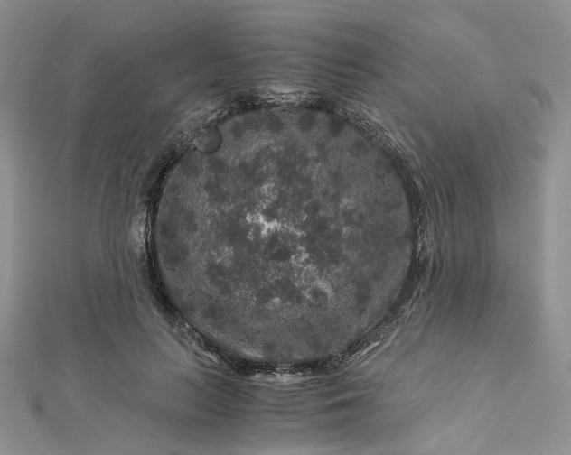 X0000112900647200909041724