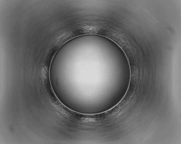 X0000112900649200909041724