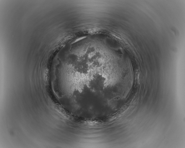 X0000112900650200909041724