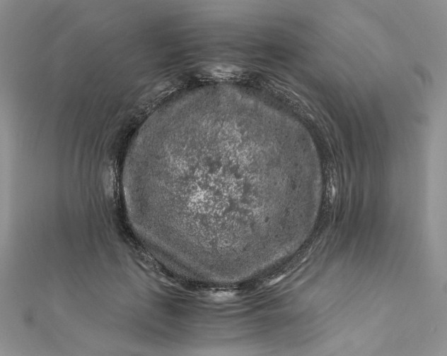 X0000112900651200909041724