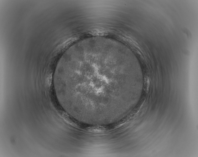 X0000112900652200909041724