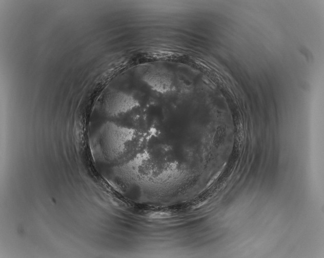 X0000112900653200909041724