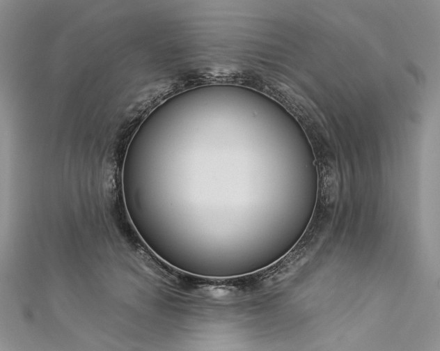 X0000112900654200909041724