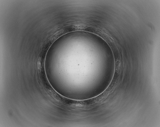 X0000112900655200909041724