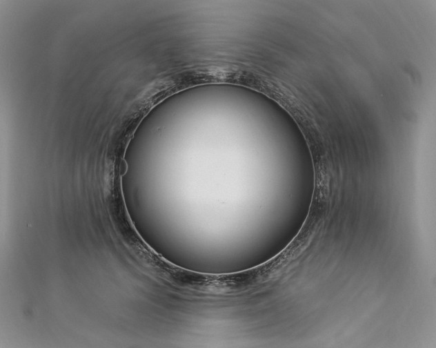 X0000112900656200909041724