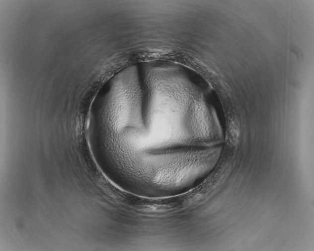 X0000112900657200909041724